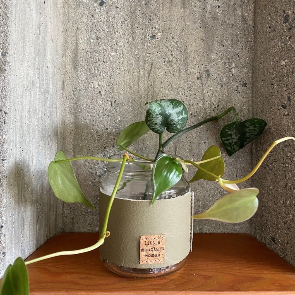 Leather Handcrafted “Seymour” Propagation Vase